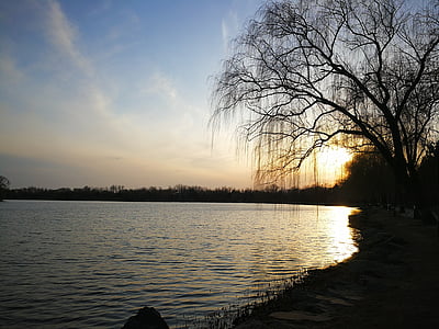 озеро, Захід сонця, Верба