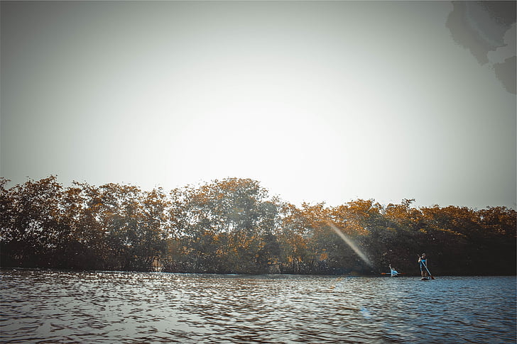 Körper, Wasser, Foto, See, Paddle-boarding, Menschen, Bäume