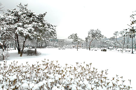 thành phố Hà Nam, Hà Nam city hall, phong cảnh mùa đông