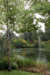 lake, powerscourt, ireland, grounds, pond, irish, flora