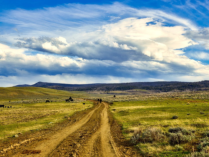 Wyoming, krajobraz, niebo, chmury, bydło, krowy, wypas