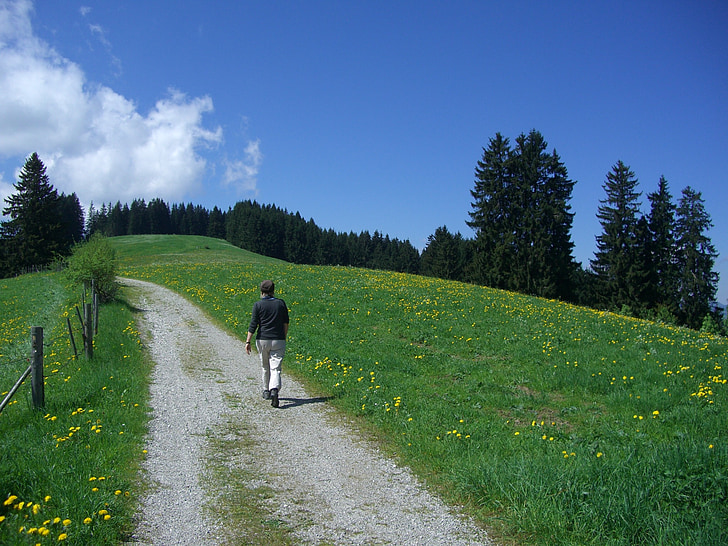 hiking, walk, trail, wanderer, panorama trail, oy mittelberg, sky