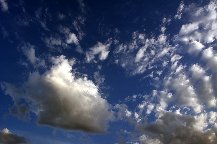 pilvi, taivas, sininen, päivä