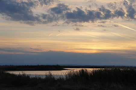 günbatımı, uzun vernikler, Pannonia Ovası, Burgenland, Avusturya, doğa, manzara