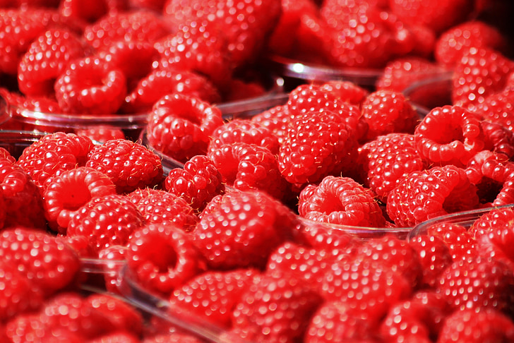 raspberries, berries, fruits, fruit, red, sweet, vitamins