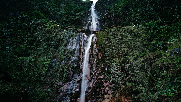 imagen, contienen, cascada, naturaleza, bosque, no hay personas, agua