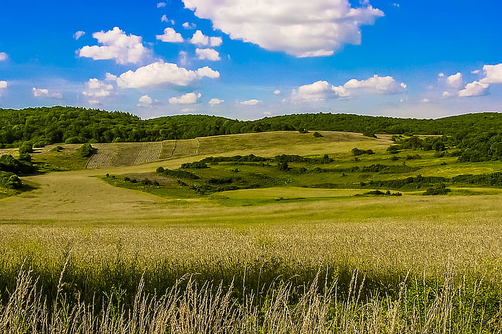land, Slowakije, velden, natuur, landbouw, landelijke scène, zomer