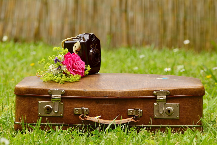 zavazadlo, staré, starý kufr, Kožený kufr, kytice, starý fotoaparát, Romantický