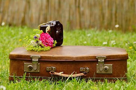luggage, old, old suitcase, leather suitcase, bouquet, old camera, romantic