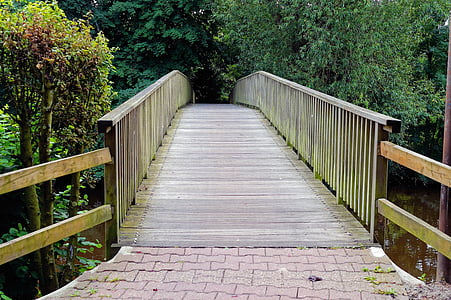 Bridge, gỗ, băng qua sông, web, công viên, cây, Idyll