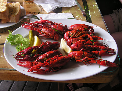 boiled crayfish, crawfish, food, cuisine, gourmet, cooked, crustacean