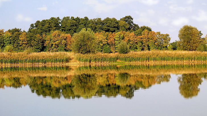 landscape, mirroring, trees, lake, waters, reflection, water
