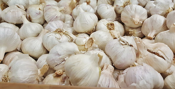 garlic, bulb, bulbous, food, grocery, ingredient, spice