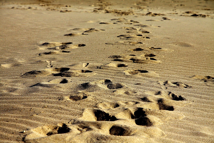 Fußabdrücke, Sand, zu Fuß, Strand, Fuß, Drucken, Reisen