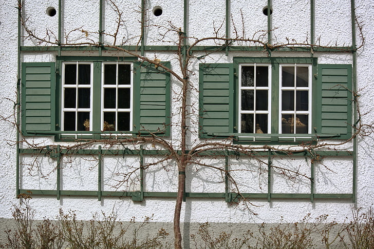 finestra, vell, Històricament, arquitectura, façana, obturador, adorn