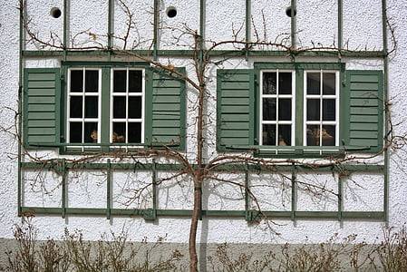 fönster, gamla, historiskt sett, arkitektur, fasad, slutare, prydnad
