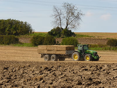tractor, field, harvest, arable, plow, grain, cereals