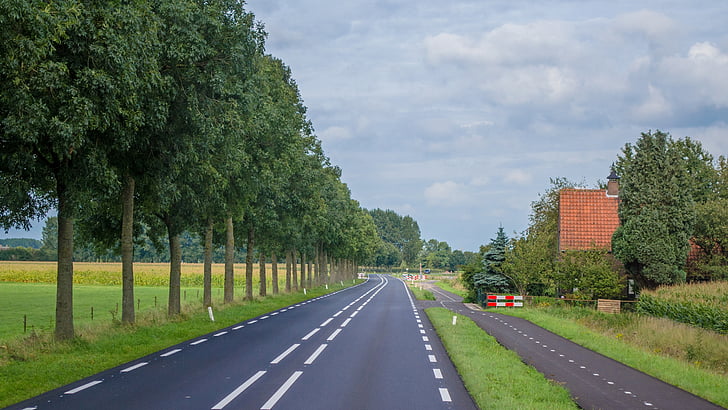 Holland, route, rural, paysage, nature, été, village