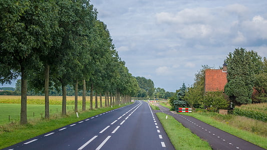 Holanda, carretera, rural, paisatge, natura, l'estiu, poble