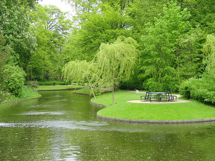 København, Danmark, Park, græs, buske, landskab, naturskønne
