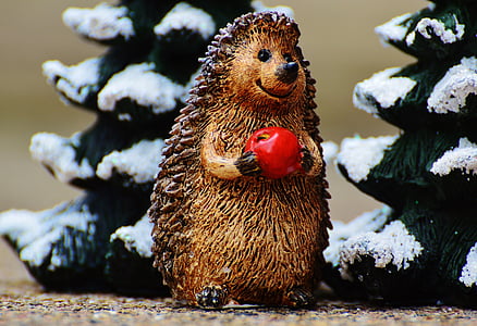 winter, hedgehog, apple, cute, sweet, figure, wintry