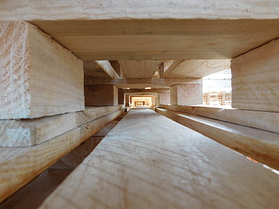 plataforma, planta, madera, natural, túnel