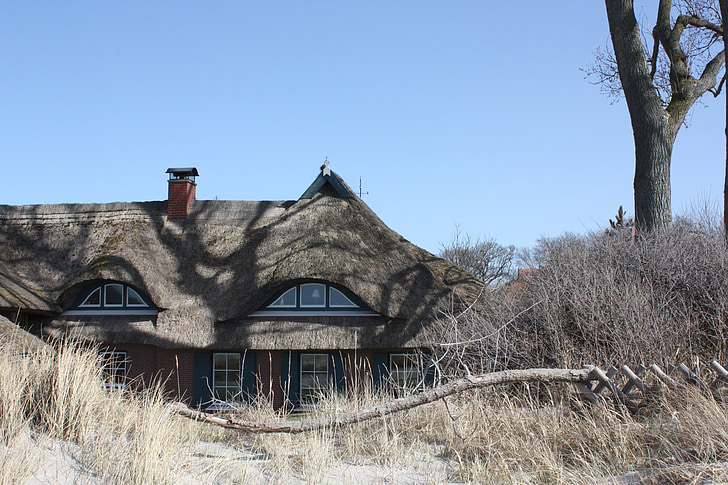 ahrenshoop, thatched roof, reed, beach, baltic sea, fischland