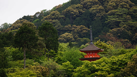 Kioto, dekoracijos, šventykla, Azija, stogo, medžiai, kraštovaizdžio