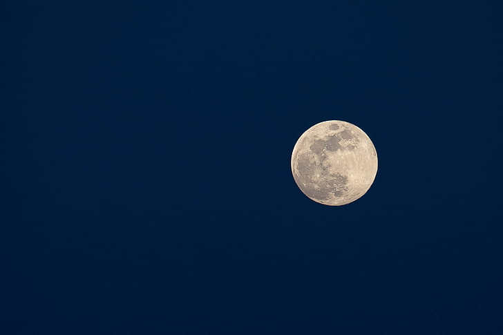 เดือน, พระจันทร์เต็มดวง, คืน, สีน้ำตาล, สีน้ำเงินเข้ม, ลูน่า, ดวงจันทร์
