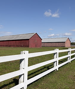 barns, tobacco, fence, farm, rural, agriculture, vintage