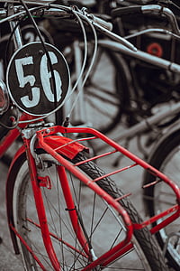 자전거, 자전거, 휠, 번호, 야외, 교통, 사이클