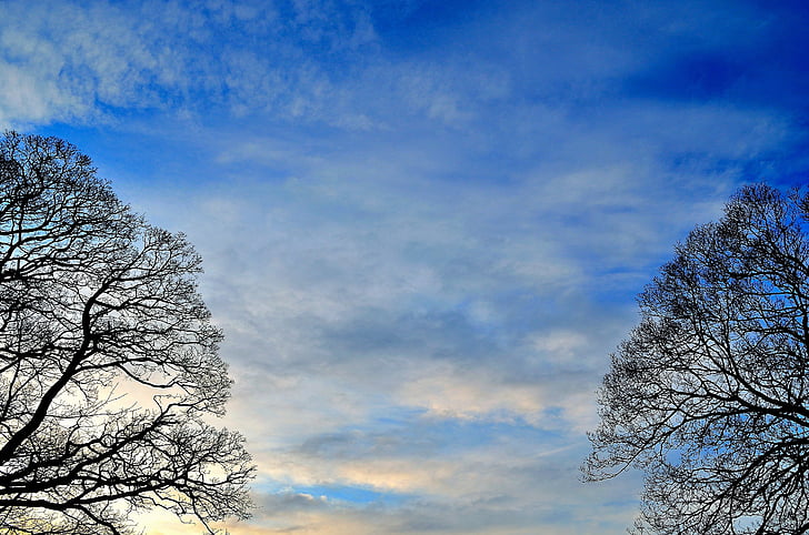 background, sky, trees, landscape, postcard, clouds, blue