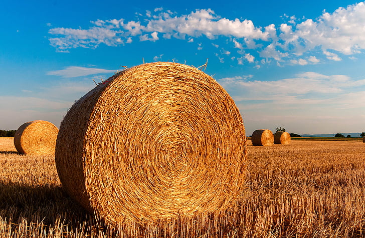 straw bales, stubble, agriculture, summer, straw, harvested, clouds