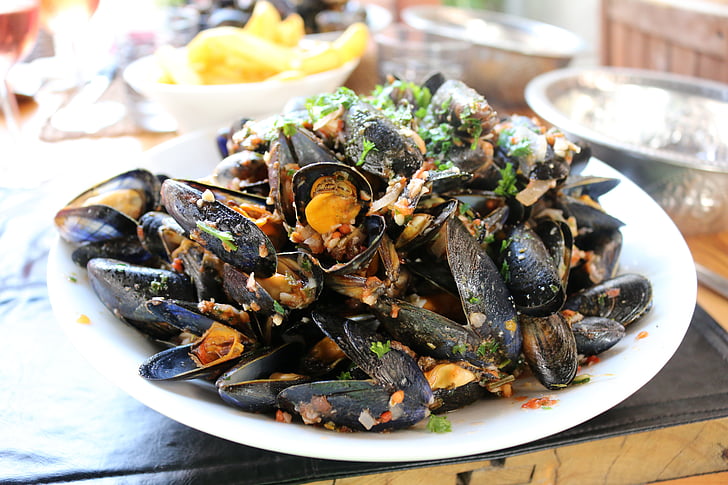 mussels, eat, food, delicious, seafood, frisch, nutrition