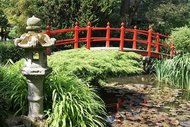 Bridge, Japan, japansk trädgård, Park, träbro, bro räcke, naturen