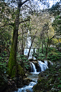 waterfall, cola de caballo, water, river, park, environment, mountain