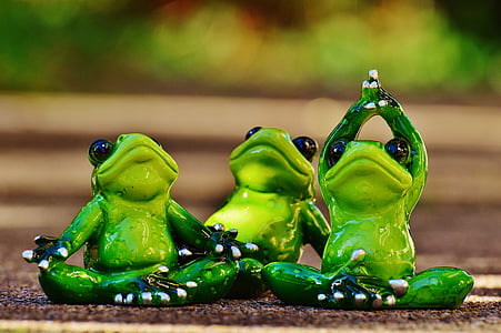 青蛙, 图, 瑜伽, 体操, 有趣, 青蛙, 绿色