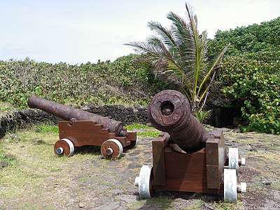 cannons, gun, military, vintage, artillery, battle, weapon