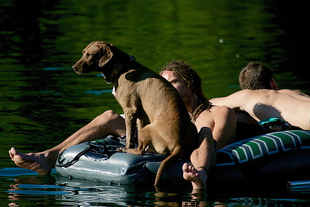 člun, pes, lidské, voda, naháči, venku, muži