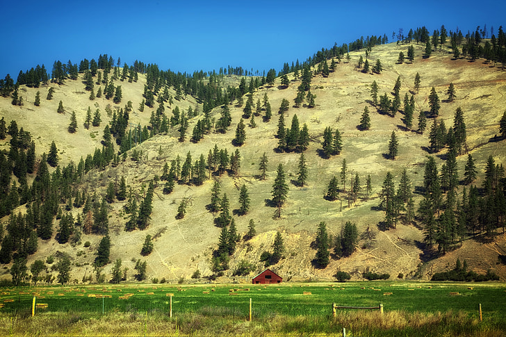 Montana, ranxo, granja, rural, muntanyes, arbres, paisatge