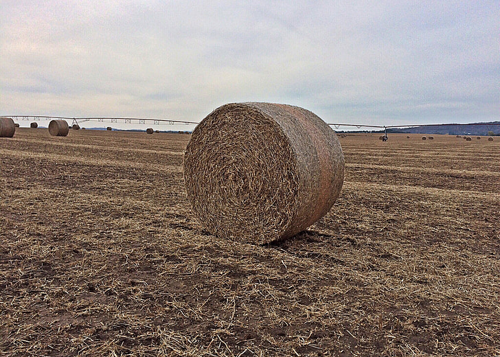 hay, bale, farm, agriculture, field, harvest