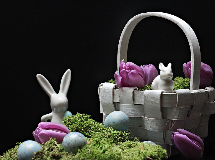 заєць, Великодній заєць, Великдень, Весна, фігура, Тюльпани, фіолетовий