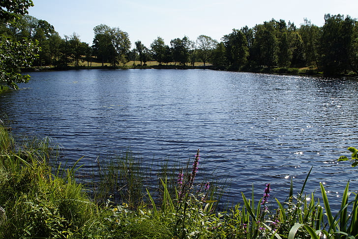 jezero, Příroda, krajina, Švédsko, voda, odpočinek, modrá