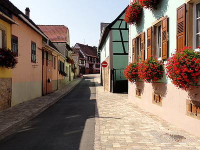 nordheim, france, city, town, buildings, flowers, sky