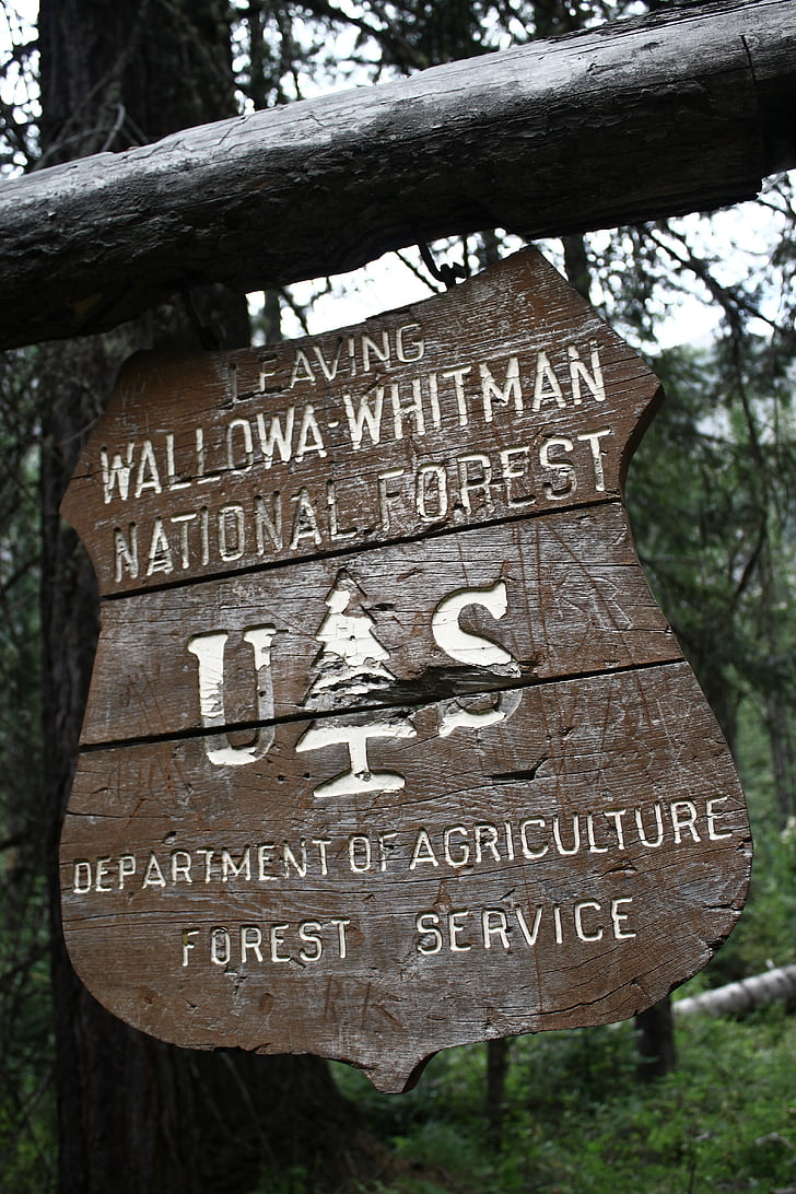 Ulusal, Orman, işareti, lime lime, söz konusu ürün, Park, doğa