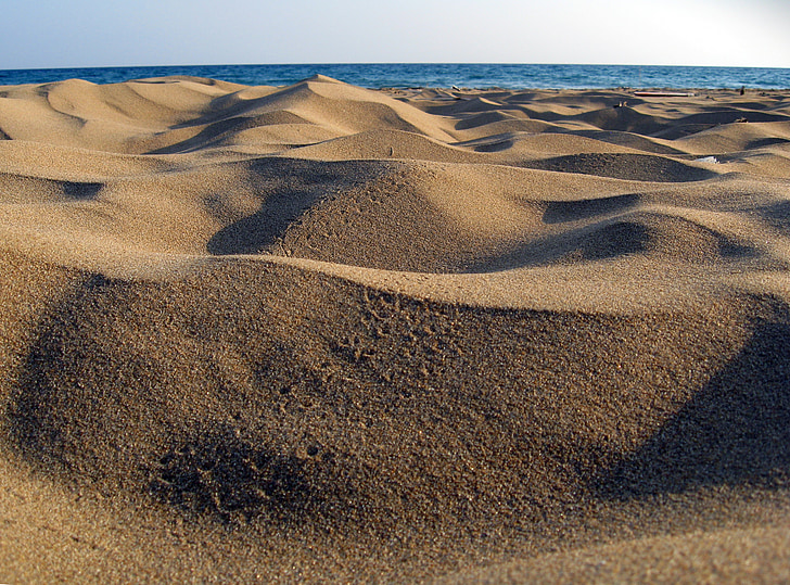 Turtle beach, Cyprus, turečtina, more, vody, Príroda, voľne žijúcich živočíchov
