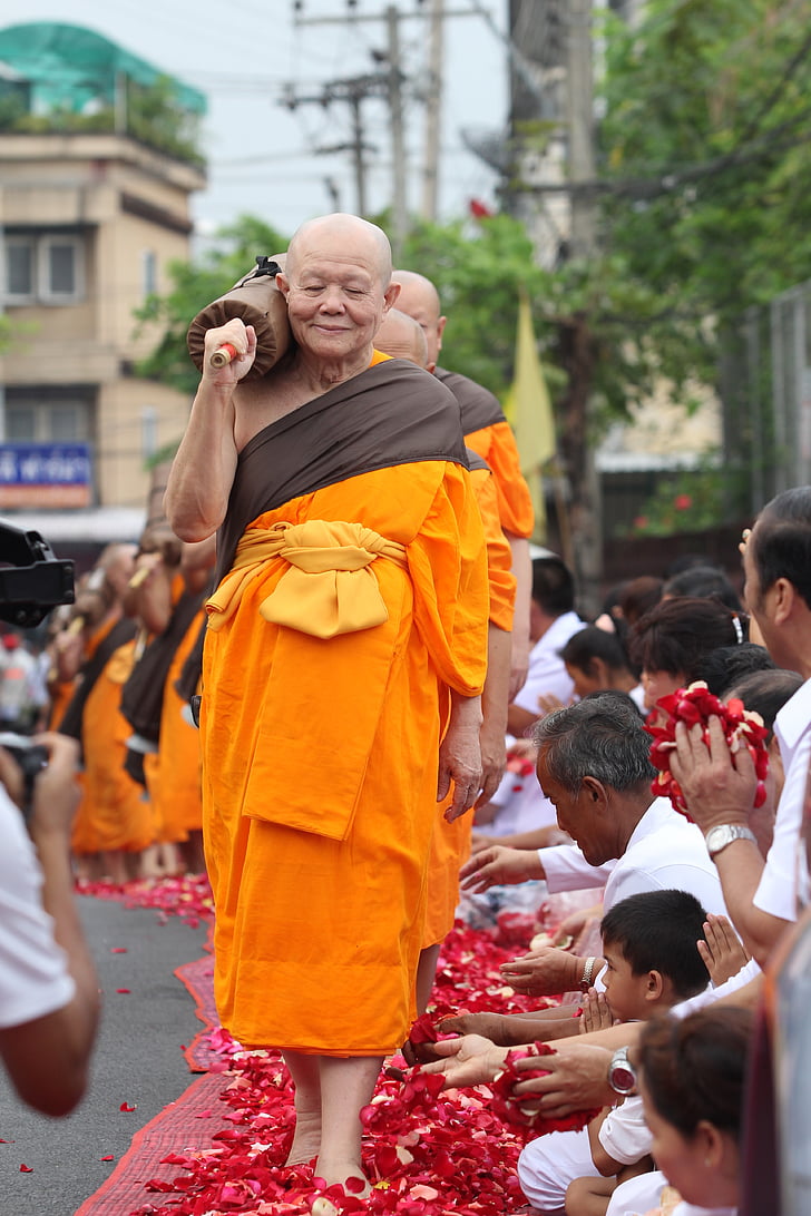 monjes, budistas, a pie, pétalos de rosa, Tailandia, tradición, ceremonia de