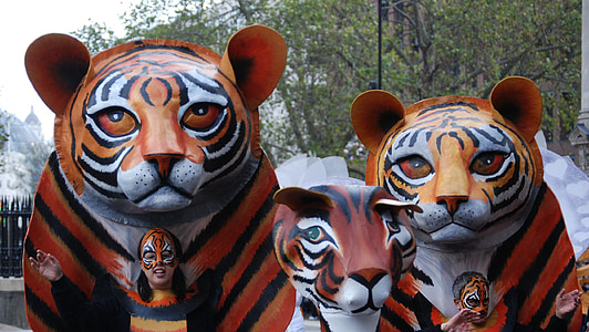 Tiger, maske, drakt, parade, ansikt, katten ansikt, karneval