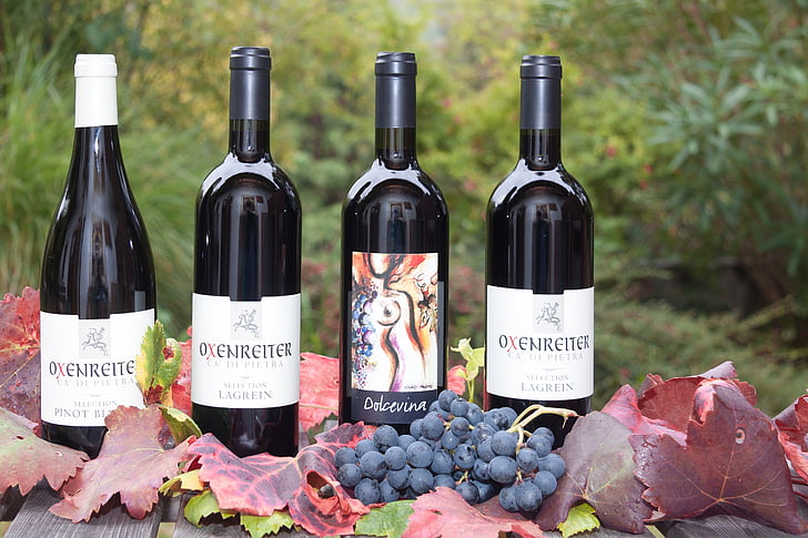 vynas, butelis, etiketė, vynuogių, lapų, vyno derliaus, augalų