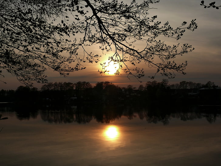 lake, west, the sun, nature, sunset, reflection, tree